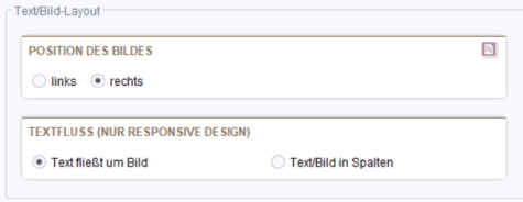 Optionen für Text-Bild-Layout in globalen Absätzen